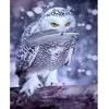 Image de Broderie diamant : Chouette et Plume - sans chassis en bois FiguredArt-DP-757