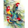 Image de Broderie diamant : Les Perroquets sur Branche - sans chassis en bois FiguredArt-DP-221