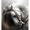 Image de Broderie diamant : Cheval gris élégant - sans chassis en bois FiguredArt-DP-966