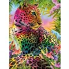 Image de Broderie diamant : Léopard coloré - sans chassis en bois FiguredArt-DP-580