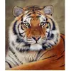 Image de Broderie diamant : Regard de Tigre - sans chassis en bois FiguredArt-DP-166