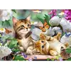 Image de Broderie diamant : Chatons et Papillon - sans chassis en bois FiguredArt-DP-1190