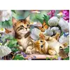Image de Broderie diamant : Chatons et Papillon - sans chassis en bois