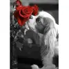 Image de Broderie diamant : Chien et Rose - sans chassis en bois FiguredArt-DP-296