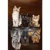 Image de Broderie diamant : Reflets Chatons - sans chassis en bois FiguredArt-DP-839