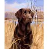 Image de Peinture au numéro : Chien labrador - sans châssis en bois FiguredArt-FA10037