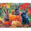 Image de Peinture au numéro : Trio de lapins - toile tendue sur châssis FiguredArt-FA10012-Y
