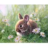 Image de Peinture au numéro : Lapin et marguerites - toile tendue sur châssis FiguredArt-FA10007-Y