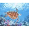 Image de Peinture au numéro : Tortue en ballade - toile tendue sur châssis FiguredArt-FA10006-Y