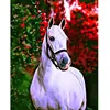 Image de Peinture au numéro : Cheval et fond coloré - sans châssis en bois FiguredArt-FA10092