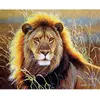 Image de Peinture au numéro : Lion dans la savane - sans châssis en bois FiguredArt-FA10048