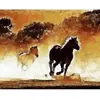 Image de Broderie diamant : Chevaux en action  - toile tendue sur chassis FiguredArt-DP-FA10095-Y