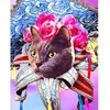 Image de Broderie diamant : Chat Mardigras - sans chassis en bois FiguredArt-DP-FA10096