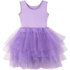 Image de Robe Tutu Violette (2-4 ans)