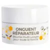Image de Alvadiem Onguent Réparateur 10 ml