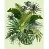 Image de Peinture au numéro : Verdure  - sans châssis en bois FiguredArt-PN1971