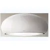 Image de Hotte îlot ELICA SEASHELL WH/F/80