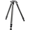 Image de MANFROTTOGITZO TREPIED SYSTEMATIC GT5533LS