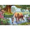 Image de Puzzle 150 pièces : Chevaux dans le ruisseau Schmidt-56161