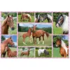Image de Puzzle 150 pièces : Rêve de chevaux Schmidt-56269