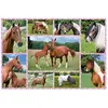Image de Puzzle 150 piÃ¨ces : RÃªve de chevaux
