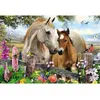 Image de Puzzle 150 piÃ¨ces : Jument et poulain