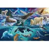 Image de Puzzle 150 piÃ¨ces : Animaux de l'Arctique