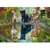 Image de Puzzle 1000 pièces : Rêvez en grand ! Schmidt-57392