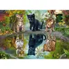 Image de Puzzle 1000 piÃ¨ces : RÃªvez en grand !