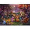 Image de Puzzle 1000 pièces : Disney, Robin des bois Schmidt-58040