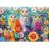 Image de Puzzle 1000 pièces : Hiboux et fleurs Schmidt-58058