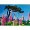 Image de Puzzle 1000 pièces : Phare de Dornbusch Hiddensee