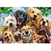 Image de Puzzle 500 pièces : Selfie de chiens Schmidt-58390