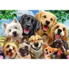 Image de Puzzle 500 pièces : Selfie de chiens