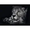 Image de Puzzle 1000 piÃ¨ces : VÃ©loce – le guÃ©pardÂ : sous le signe de la grÃ¢ce  - Ashley Rader