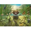 Image de Puzzle 1000 pièces : Labrador chocolat à la baignade Schmidt-58572