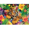 Image de Puzzle 1000 pièces : Bébé tigre Schmidt-58889
