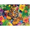 Image de Puzzle 1000 pièces : Bébé tigre