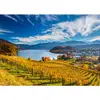 Image de Puzzle 2000 pièces : Vignobles Schmidt-58953