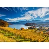 Image de Puzzle 2000 piÃ¨ces : Vignobles