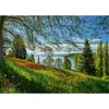 Image de PUZZLE 1000 PIECES : FLORAISON DES TULIPES - ILE DE MAINAU Schmidt-58967
