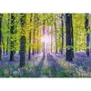 Image de Puzzle 1000 piÃ¨ces : Jacinthes dÃ©licates dans la forÃªt