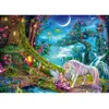 Image de Puzzle 1000 piÃ¨ces : Histoire du soir au clair de lune