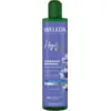 Image de Weleda Hydra Shine Shampooing Hydratation 250 ml