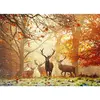 Image de Puzzle 1000 pièces : Forêt magique Heye-29805