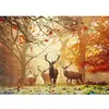 Image de Puzzle 1000 piÃ¨ces : ForÃªt magique