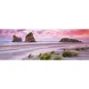 Image de Puzzle 1000 piÃ¨ces panoramique -  Alexander von Humboldt  : Plage de Wharariki, Nouvelle-ZÃ©lande