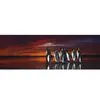 Image de Puzzle 1000 piÃ¨ces panoramique -  Alexander von Humboldt : Pingouins