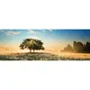 Image de Puzzle 1000 pièces panoramique : Jeu de lumières Heye-58159