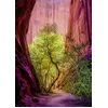 Image de Puzzle 1000 pièces : Canyon chantant Heye-57981-29944